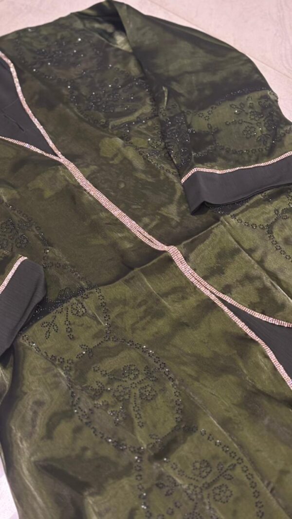 Trending Organza Abaaya